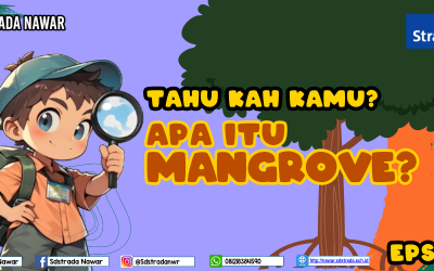 TAU KAH KAMU APA ITU MANGROVE? EPS 01
