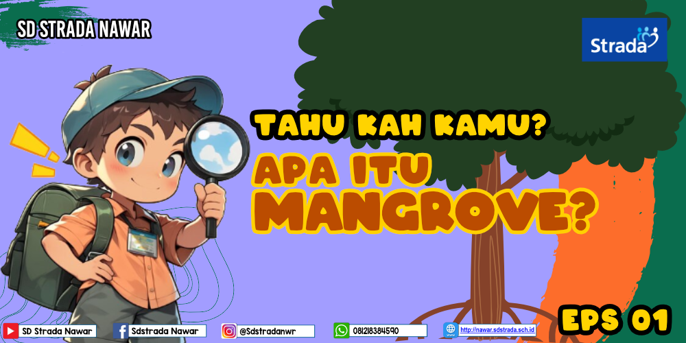 TAU KAH KAMU APA ITU MANGROVE? EPS 01